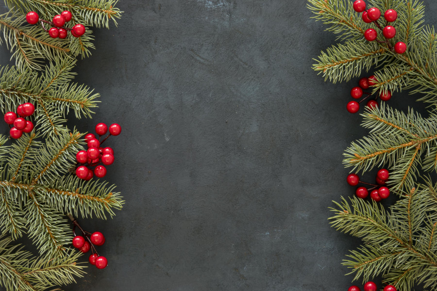 PŘEJEME KRÁSNÉ VÁNOČNÍ SVÁTKY A ÚSPĚŠNÝ NOVÝ ROK 2026