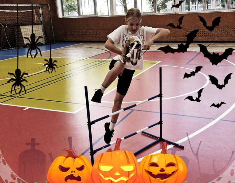 Halloweenské hobby horse závody