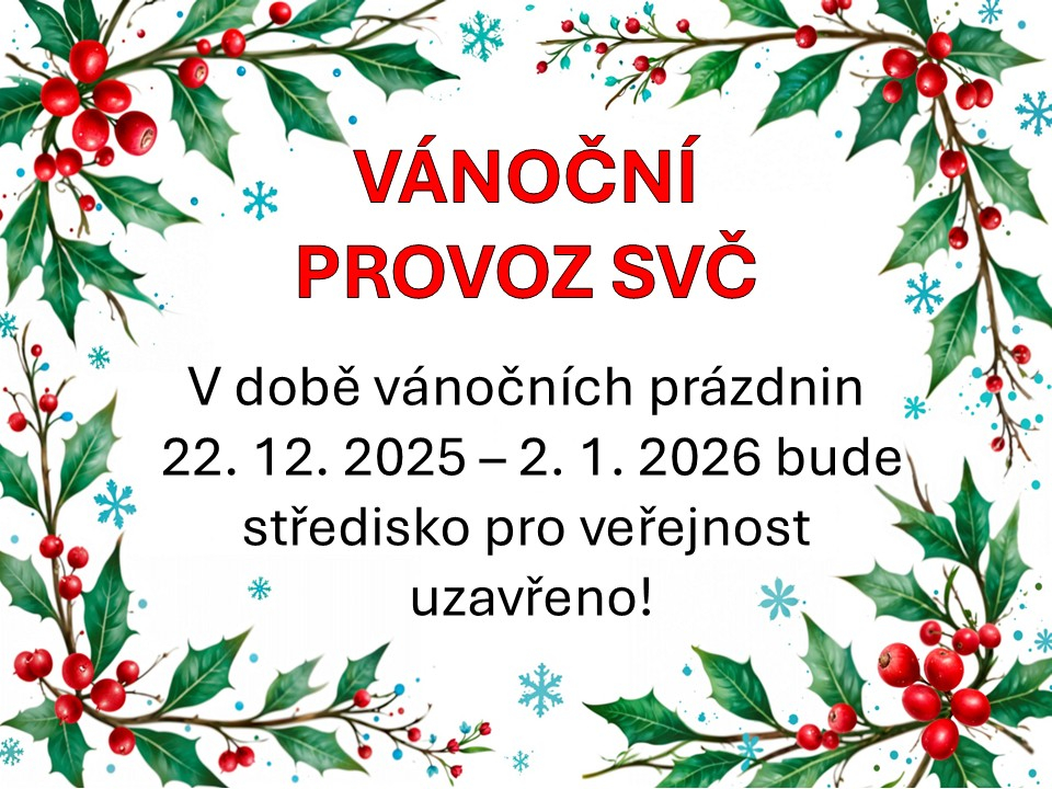 Vánoční provoz SVČ