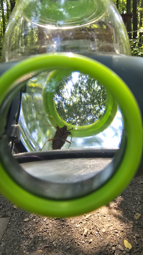 20260805_105200.jpg