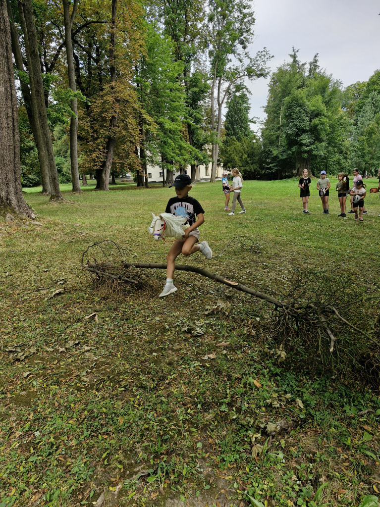 20260811_144548.jpg