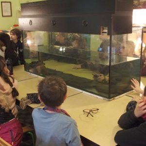 P1010420.JPG