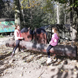 20231021_115322.jpg