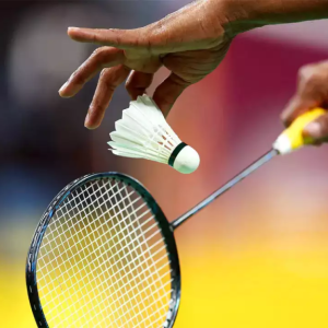 Turnaj v badmintonu - krajské kolo