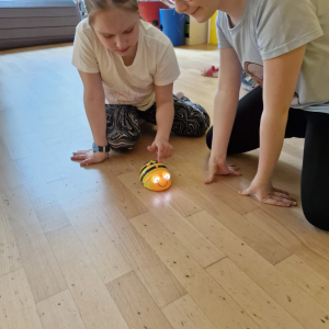 20250417_140700.jpg