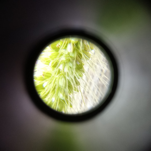 1000027652.jpg
