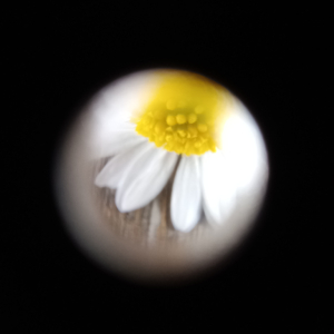 1000027671.jpg