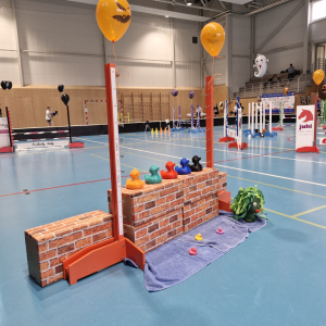 Hobby horsing cup Paskov